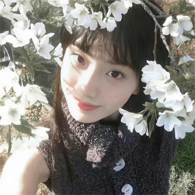 荒野五侠客